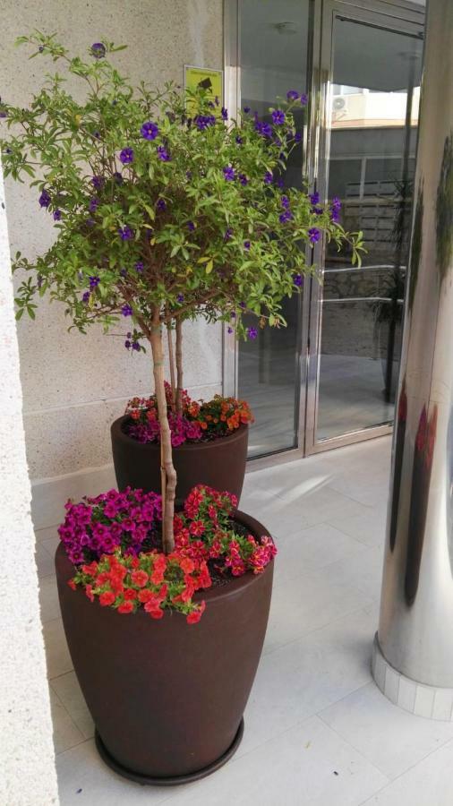 Azul Rentals Benidorm Flat ภายนอก รูปภาพ